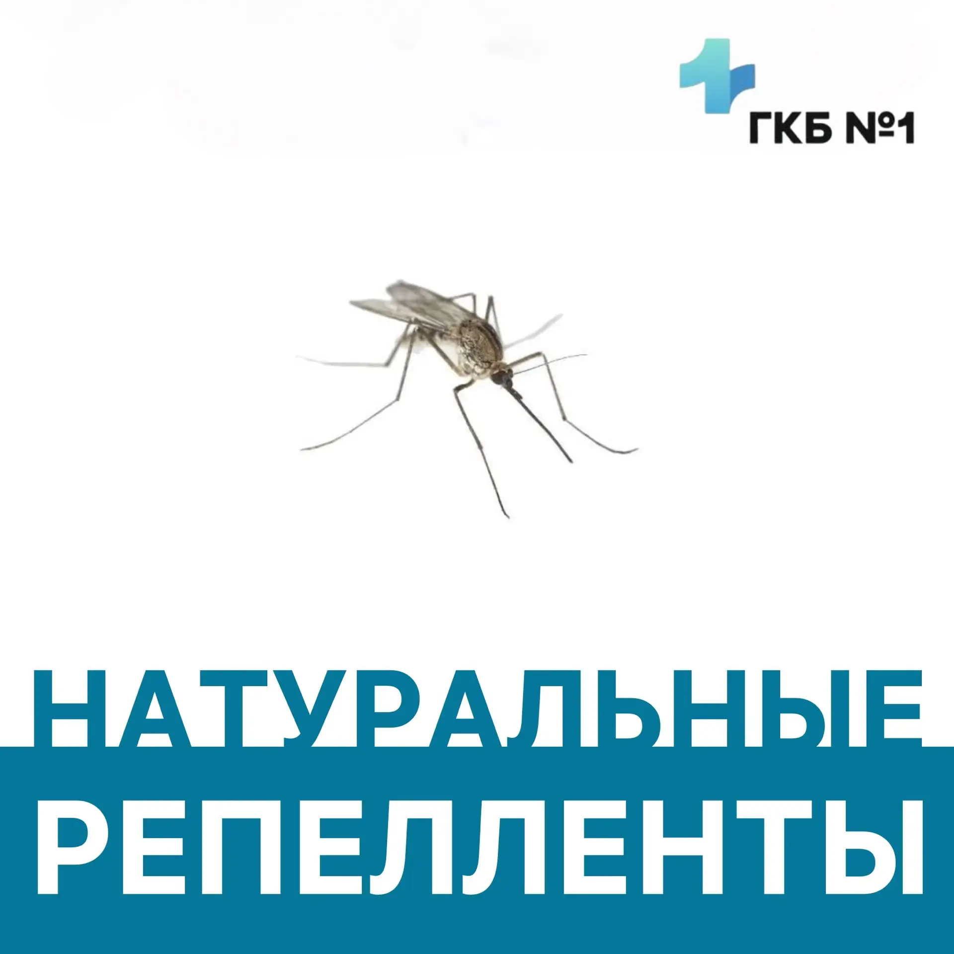 Чтобы вечерним прогулкам и работе на свежем воздухе никто не мешал🦟⛔️