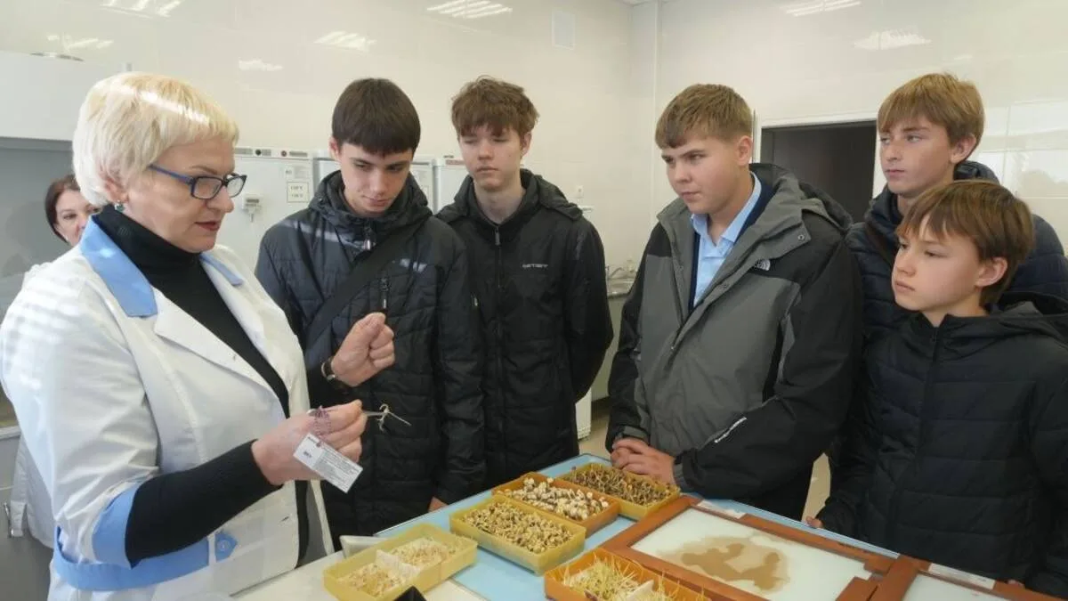 Школьникам из Кокино показали, как проверяют семена и защищают растения