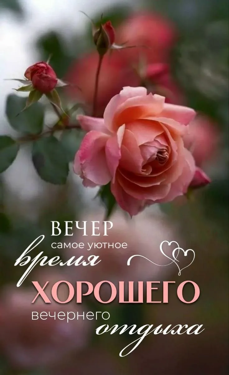 ЖИВЫЕ ОТКРЫТКИ🫶🏻
Подпишись👈