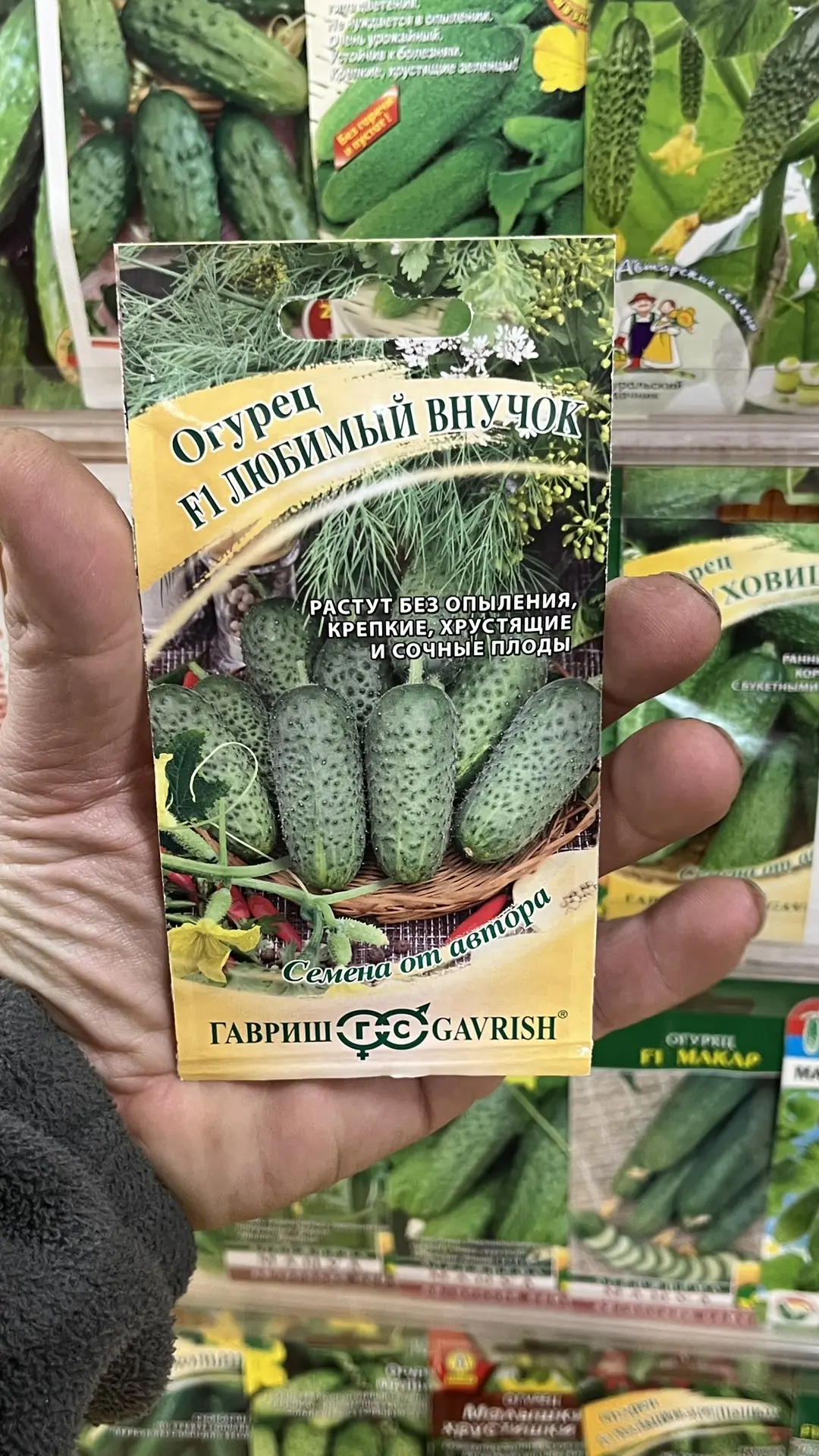 Огурцы 2026 – какие посажу обязательно и какие больше никогда.  #консультантсадовода  Огурцы – сравн