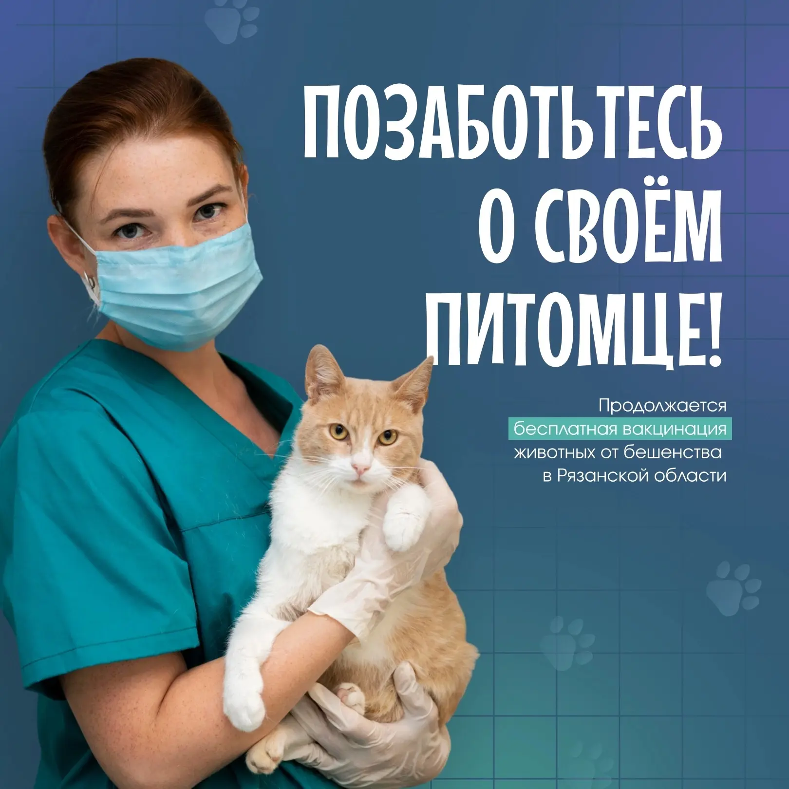 🐾Важная информация для владельцев собак и кошек! 7 сентября специалисты Рязанской райв...