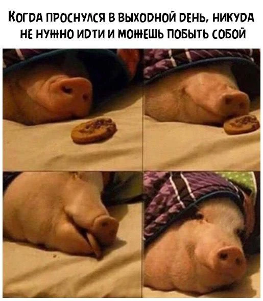 Веснушка Юмор