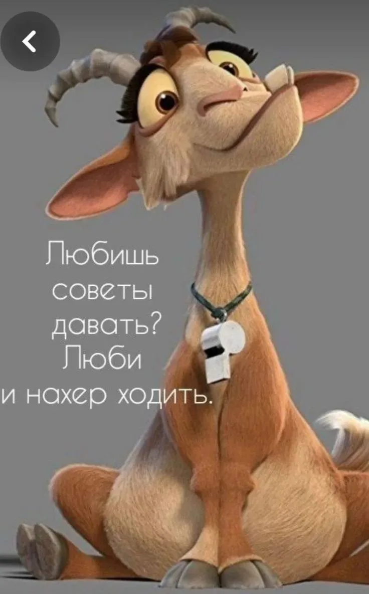 Картинка на заметку для тех, у кого в окружении есть люди любящие давать непрошенные со...