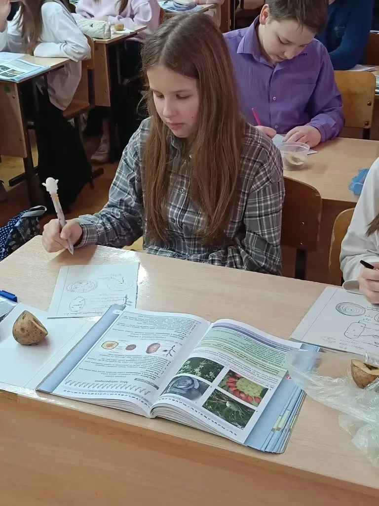 Вести с урока👩🏻‍🏫  Картофель удивительный плод или это побег? Известный нам своими вкусовыми качеств