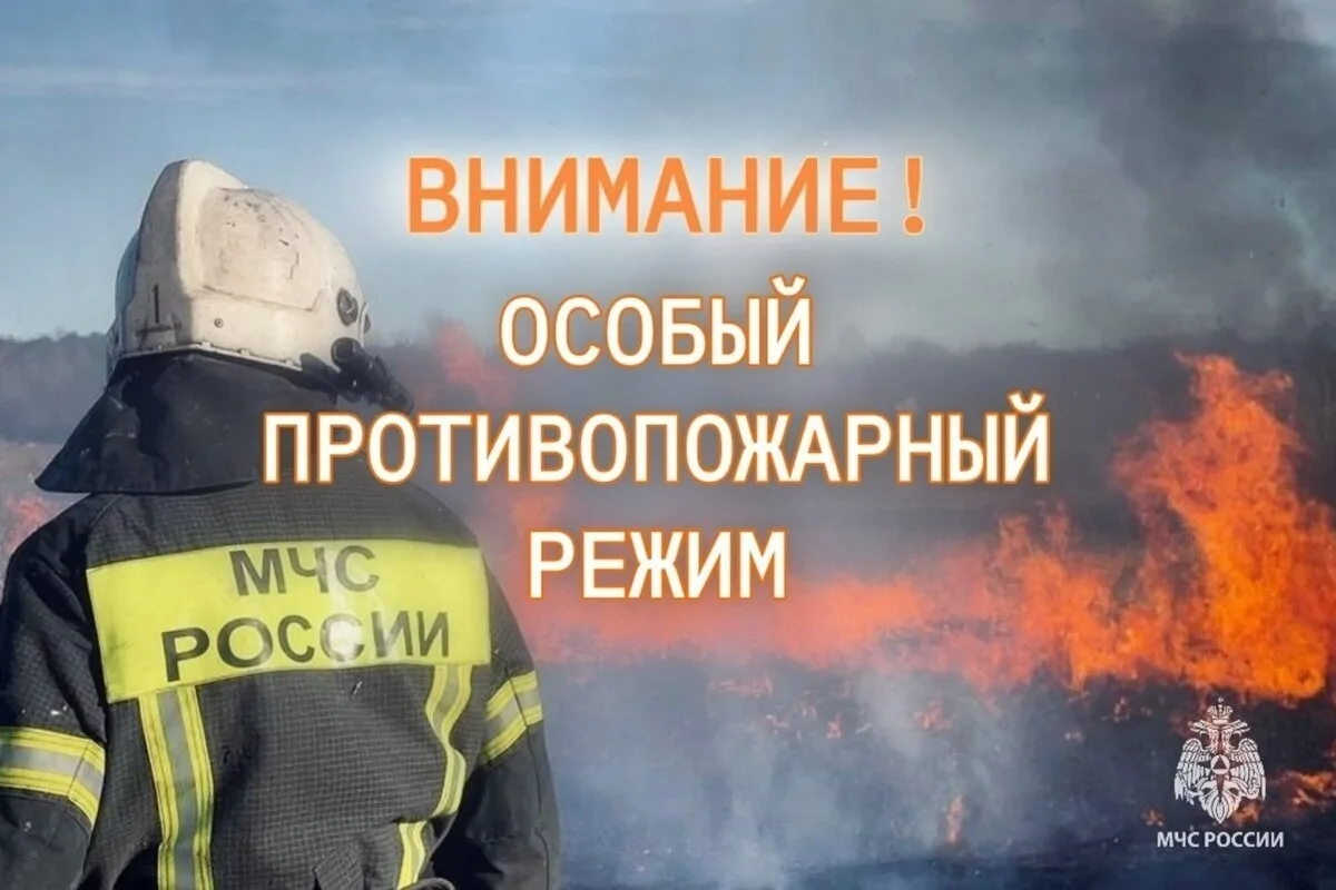 Весна - время уборки и очищения. Многие наводят порядок на участках и задумываются о сж...