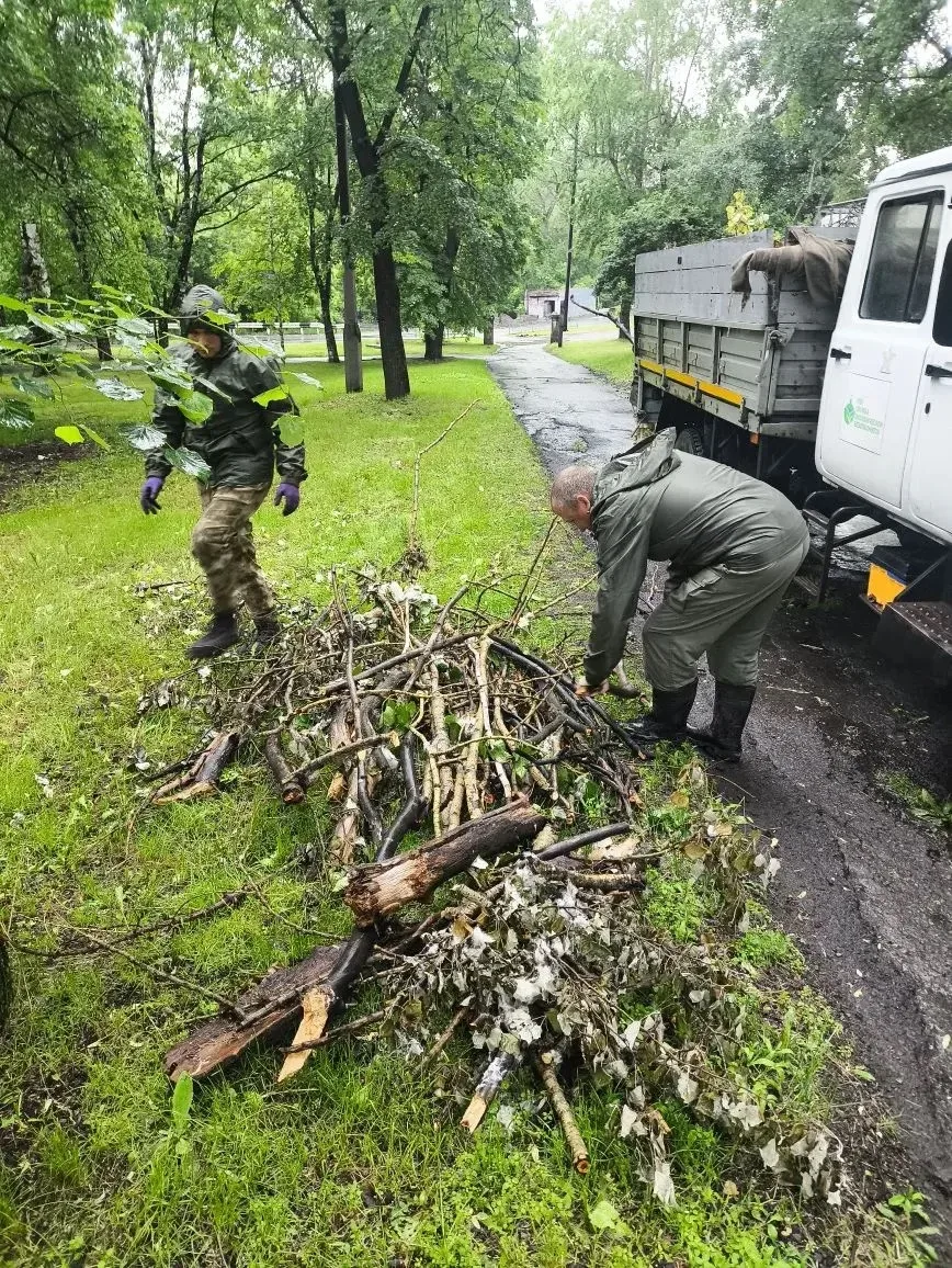 🌿 Почему иногда нужно удалять деревья — и почему нельзя делать это самостоятельно? 🌿

Мы понимаем: