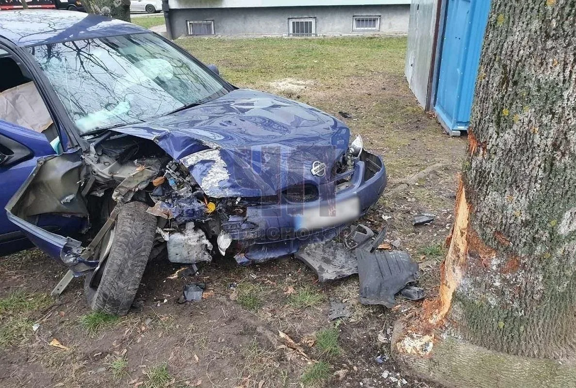 Житель Адыгеи, влетевший на скорости в дерево, отдаст государству: здоровье, машину и д...