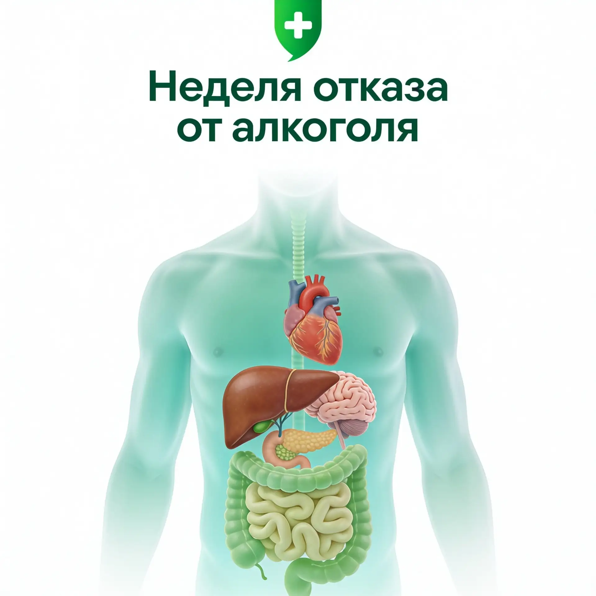 🍃 Неделя отказа от алкоголя