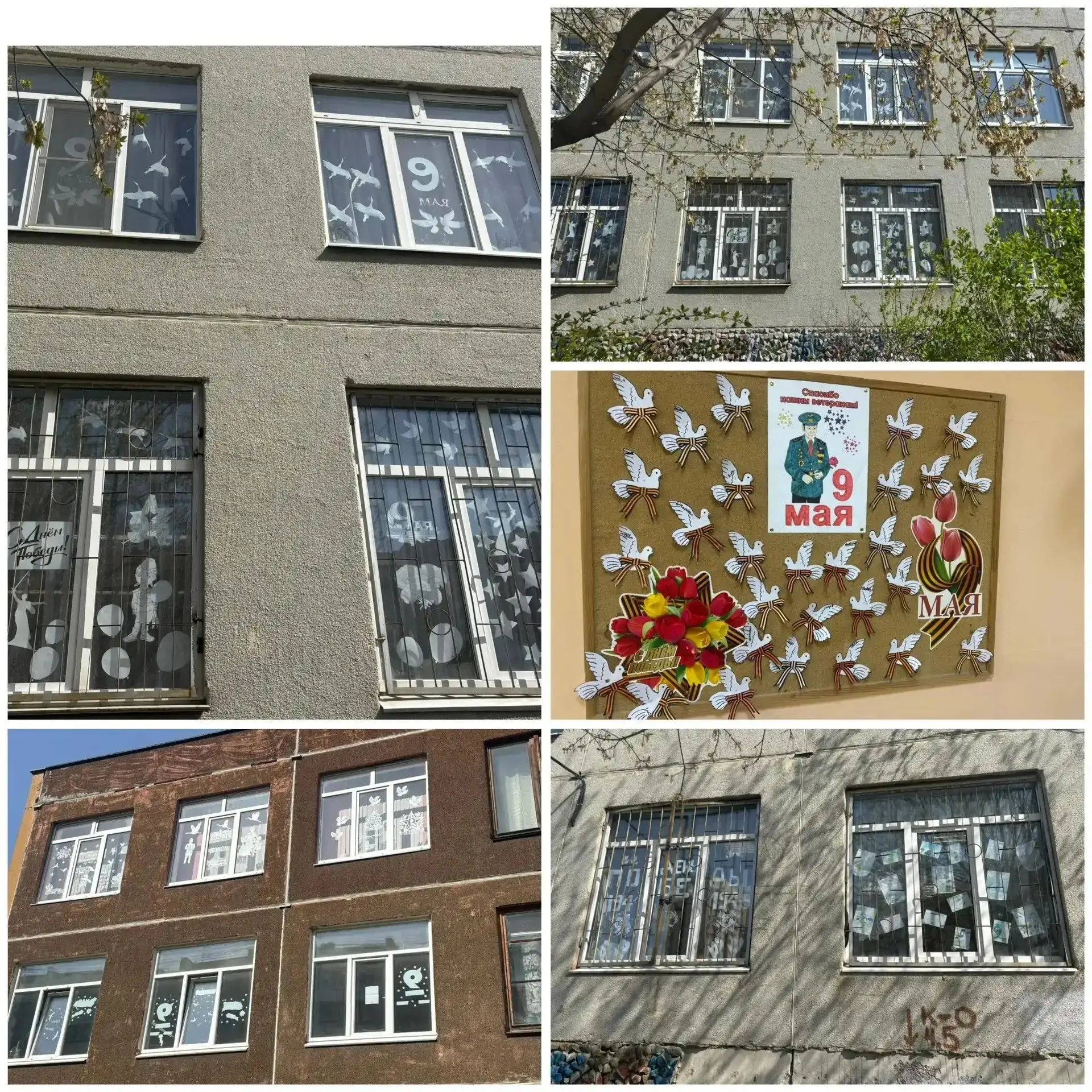 ✨ Окна школы сияют гордостью: в МАОУ СОШ №48 прошла акция «Окна Победы»! ✨ 🛑В преддверии великого пр