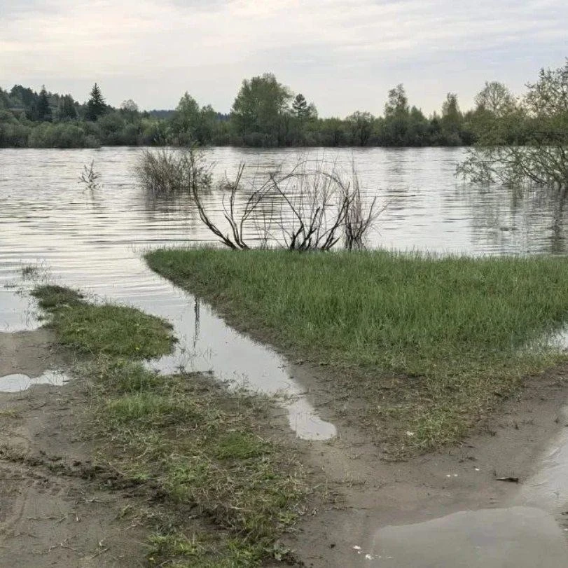 🌊 Иркут попёр: река поднялась почти на 2 метра за сутки  После ливней вода резко пошла вверх. Сейчас