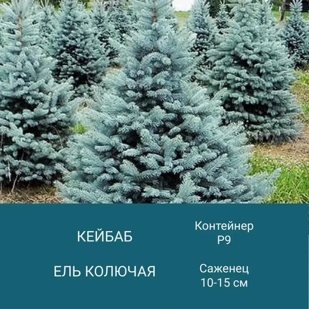Хотите украсить свой участок? 😍