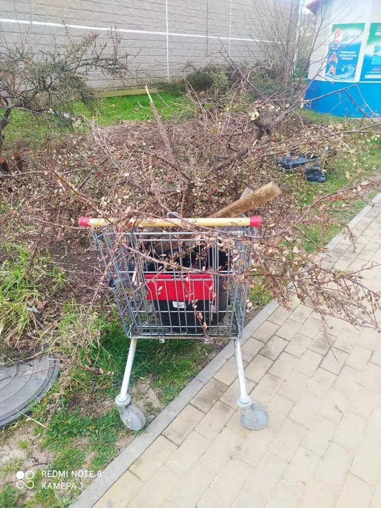 Уважаемые жители наших МКД по адресу: шоссе Супсехское ..🌿  Напоминаем вам о важности соблюдения чис