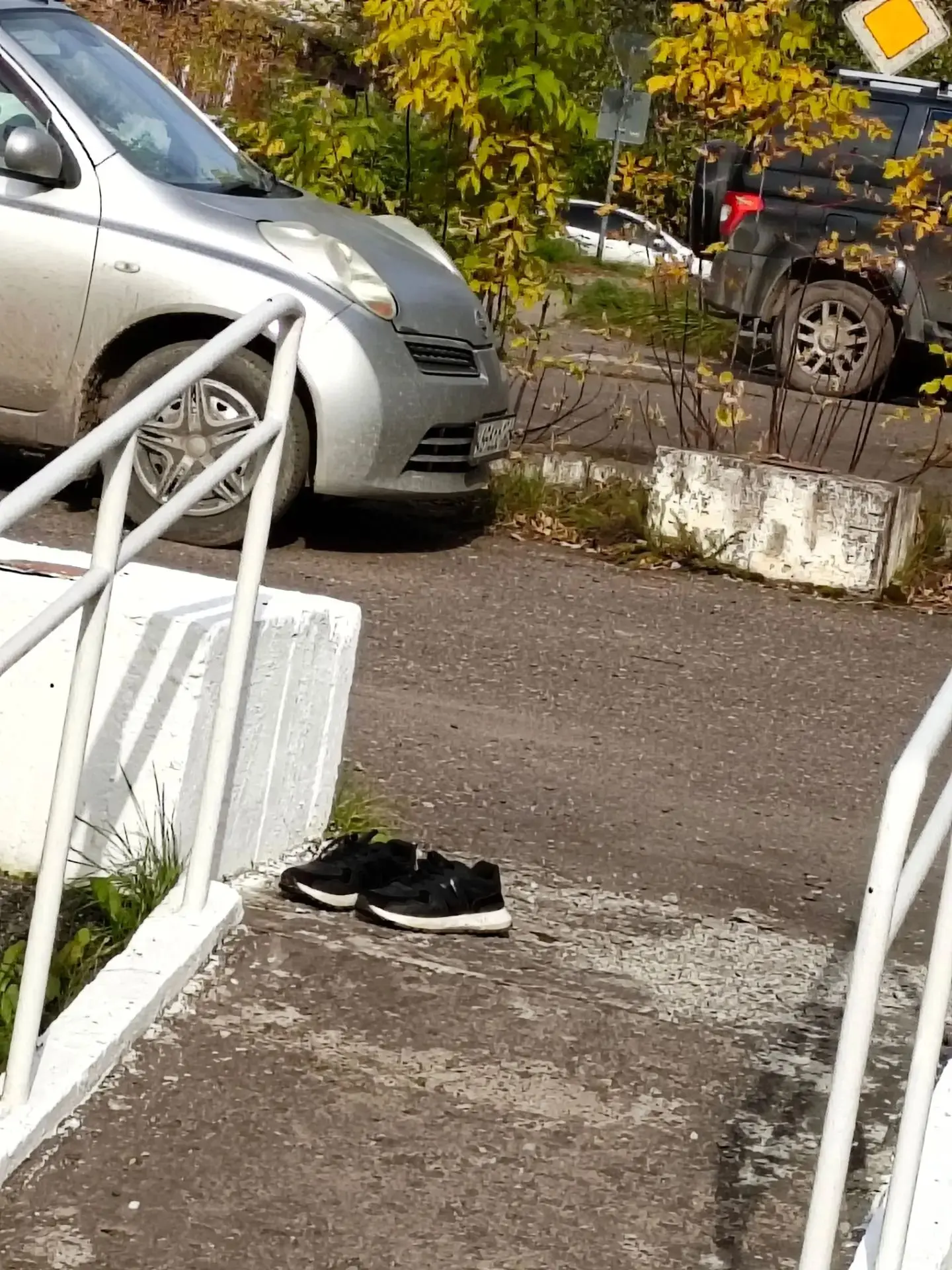 📌 говорят, профессиональные пловцы сбрасывают доли секунды на старте... Но этот юный ч...