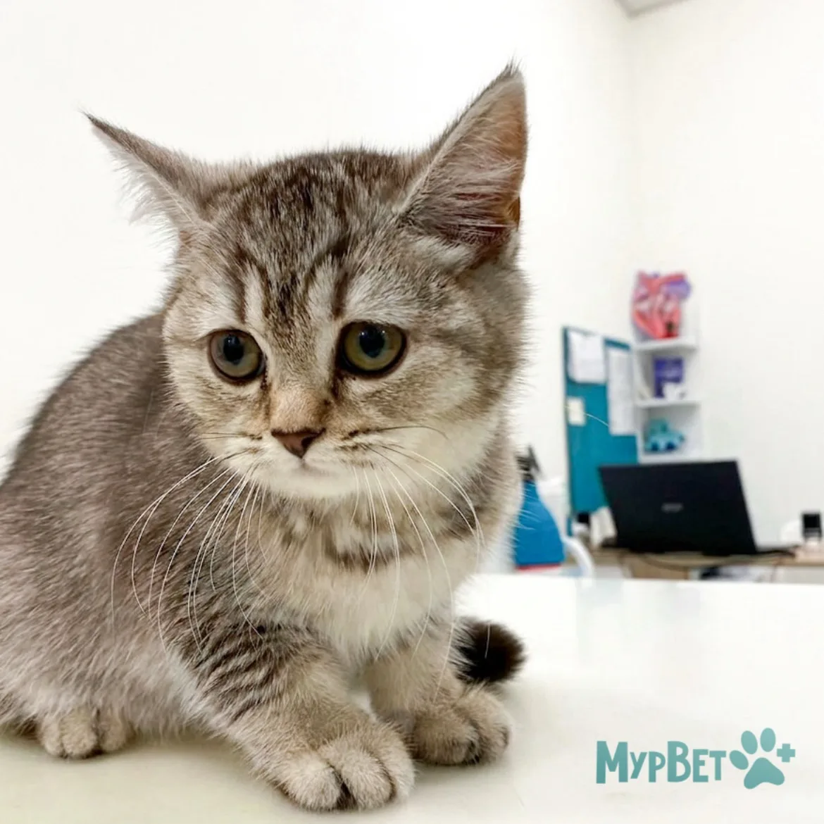 Знакомьтесь — Боня! 🐾