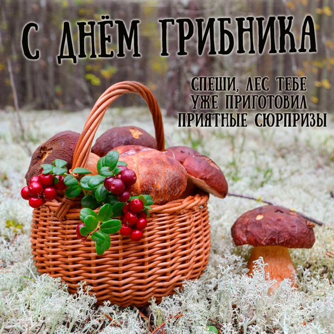 Со Всемирным днём грибника! 🍄