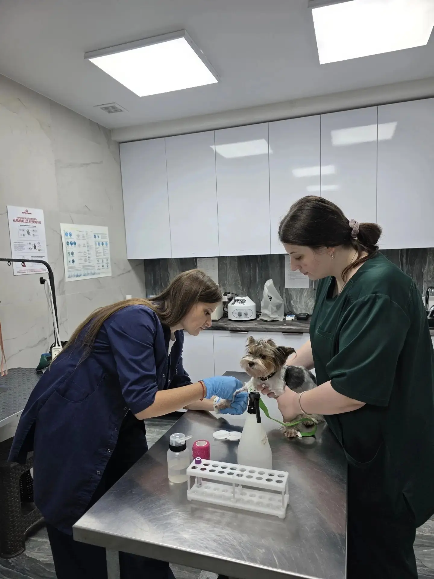 Гордимся нашими выпускниками по специальности "Ветеринария"🐶

❗️ГБПОУ "Александровский сельскохозяй