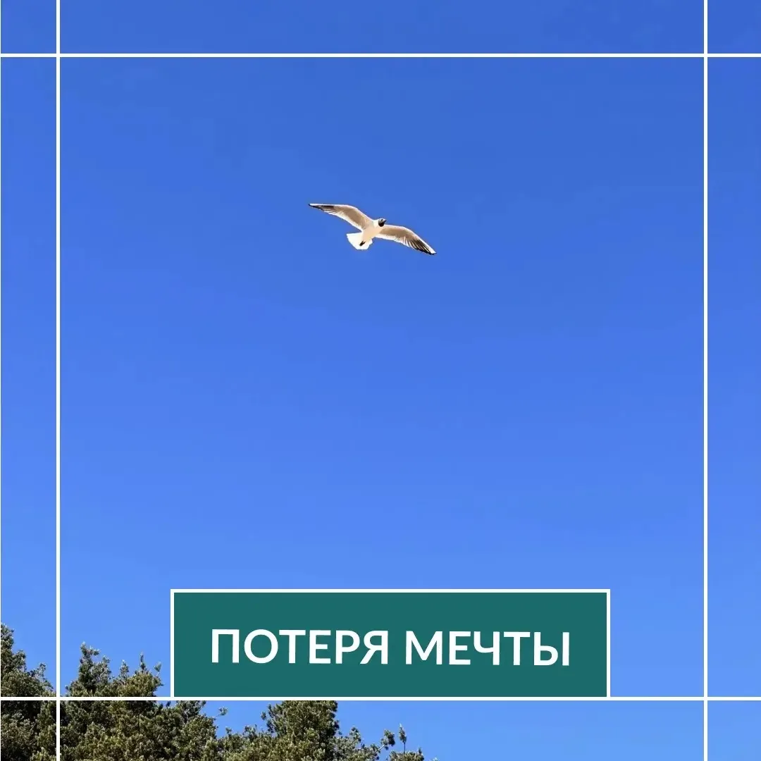 ❓Вопрос

Доброе утро!
Как поддержать ребенка, у которого рухнула мечта? Он мечтал поступить в летное