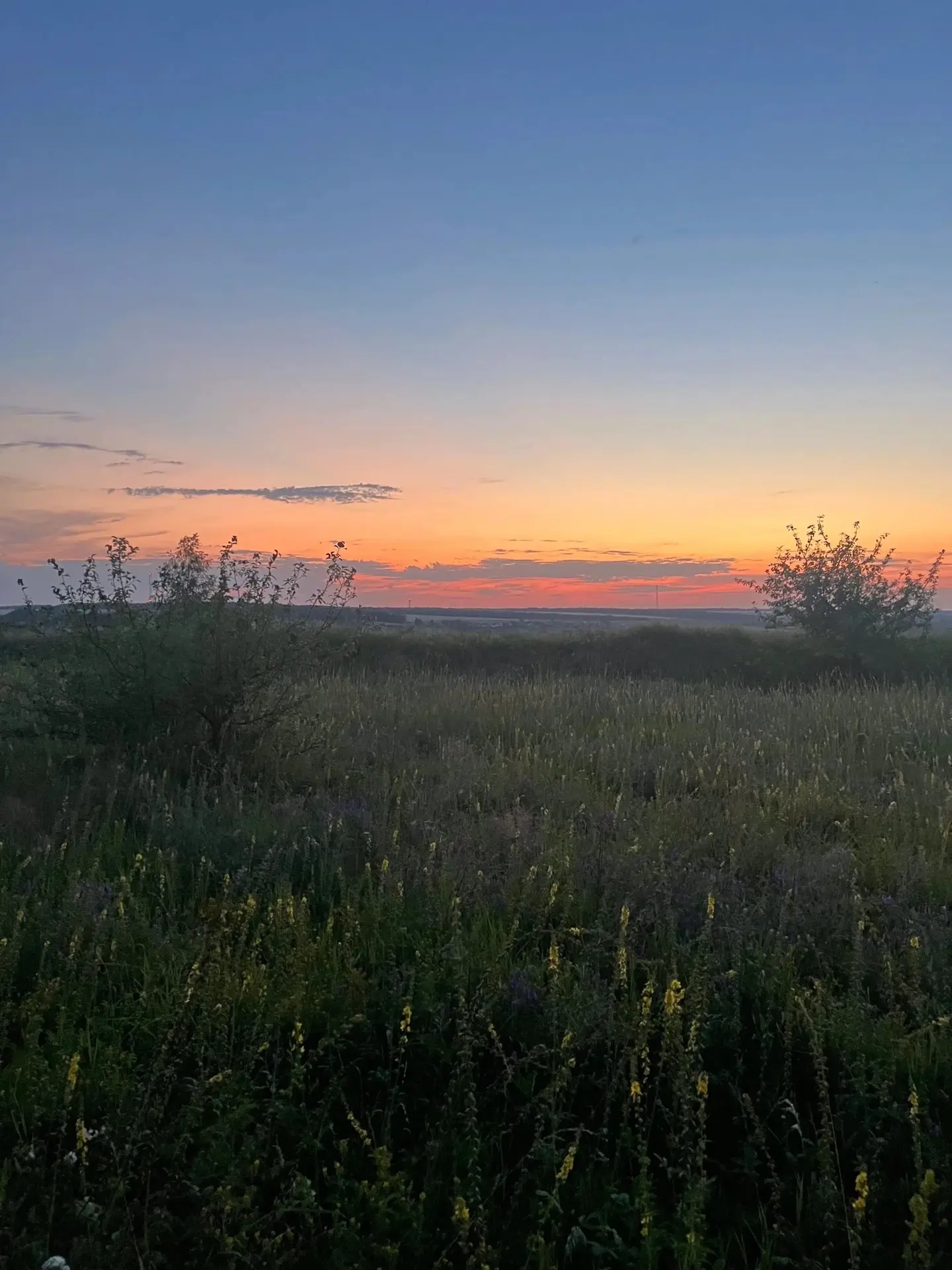 С добрым утром, Тамбов 🌾