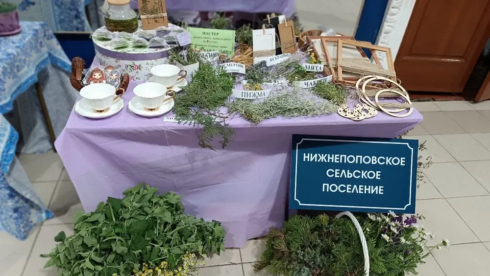 Во Дворце Культуры им. Чкалова прошел фестиваль "Чабрец- запах Родины", в котором Нижне...