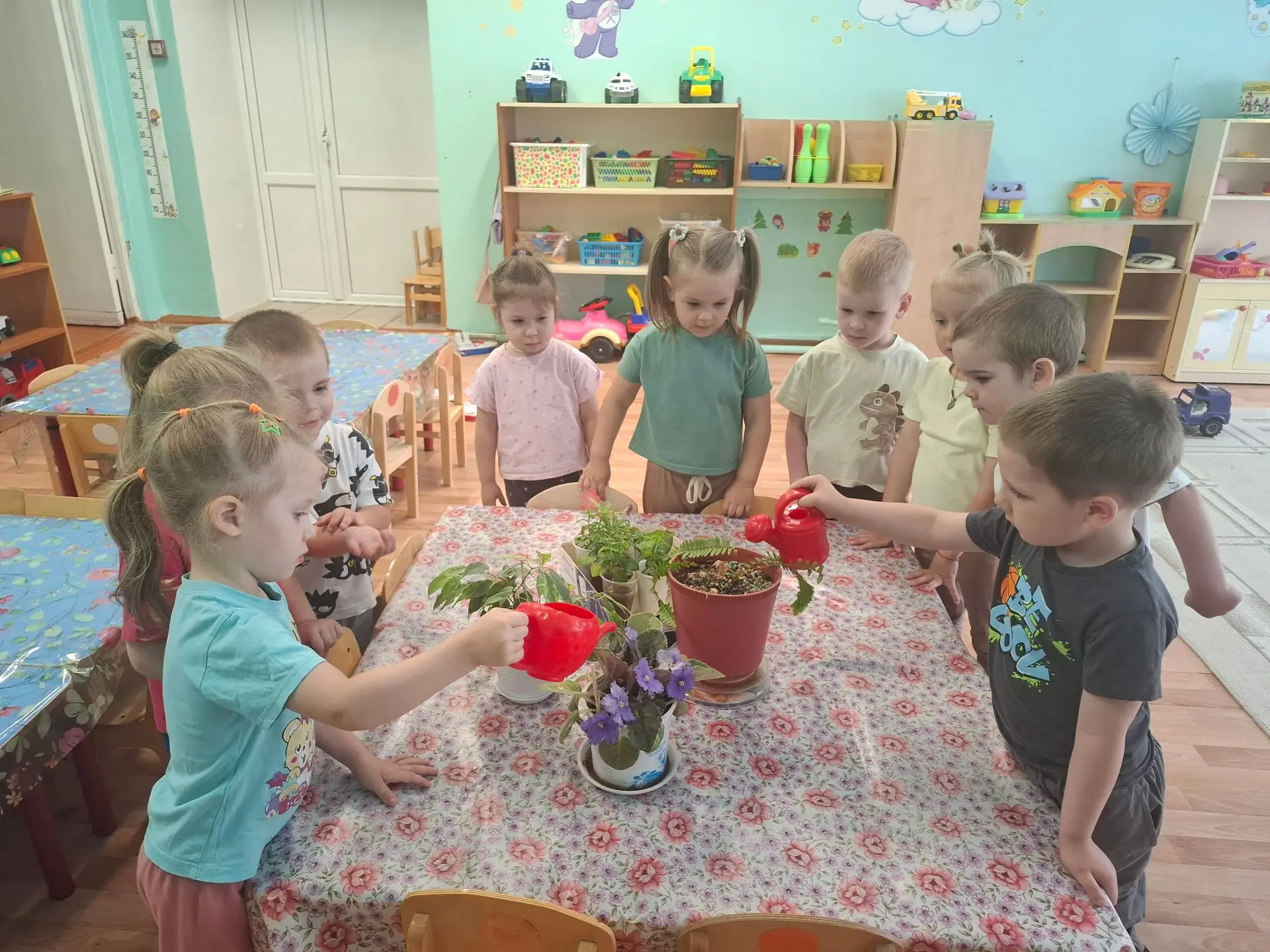КАК МЫ ЗА КОМНАТНЫМИ РАСТЕНИЯМИ УХАЖИВАЕМ