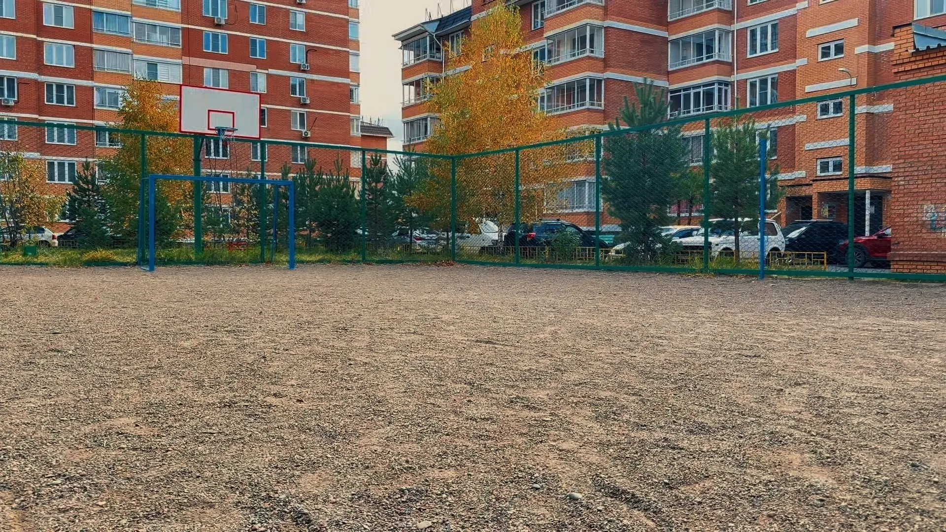 Соседи, нужна ваша поддержка! 💚