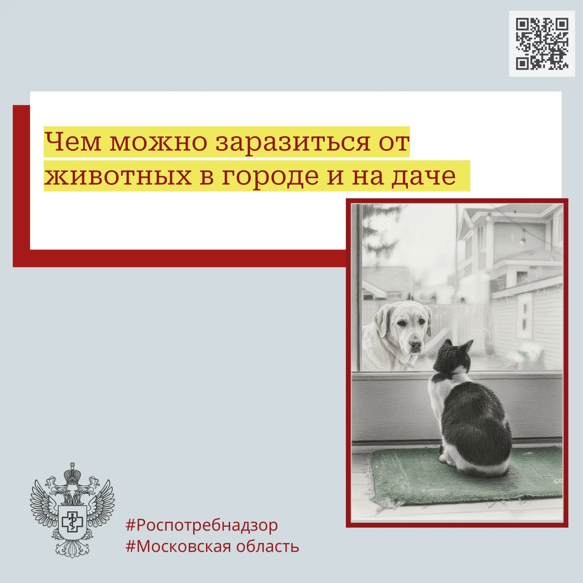 Чем можно заразиться от животных в городе и на даче

Всемирный день зоонозных заболеваний - повод по