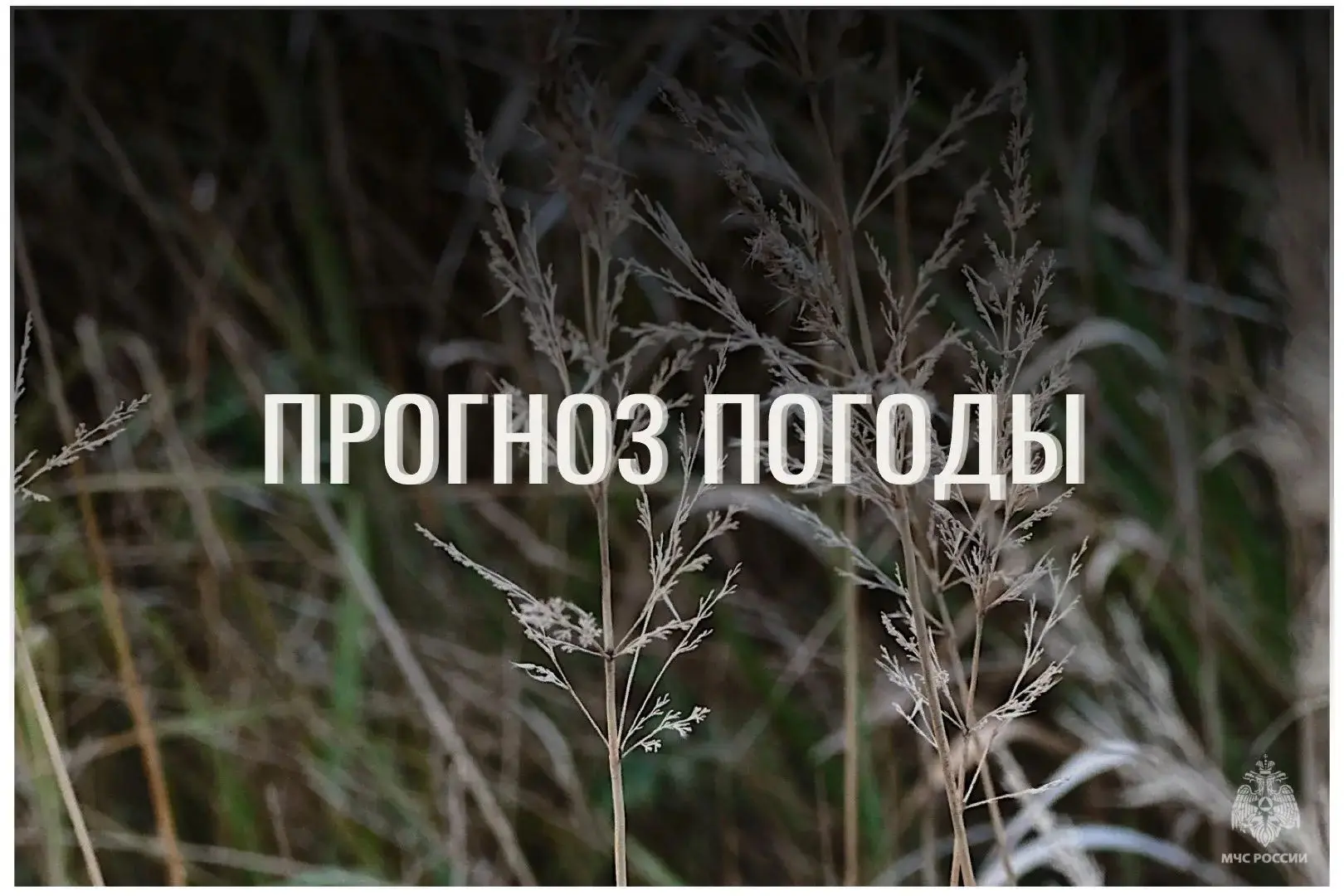 ⛅По данным ЦГМС, 6 октября в регионе прогнозируется облачно с прояснениями.