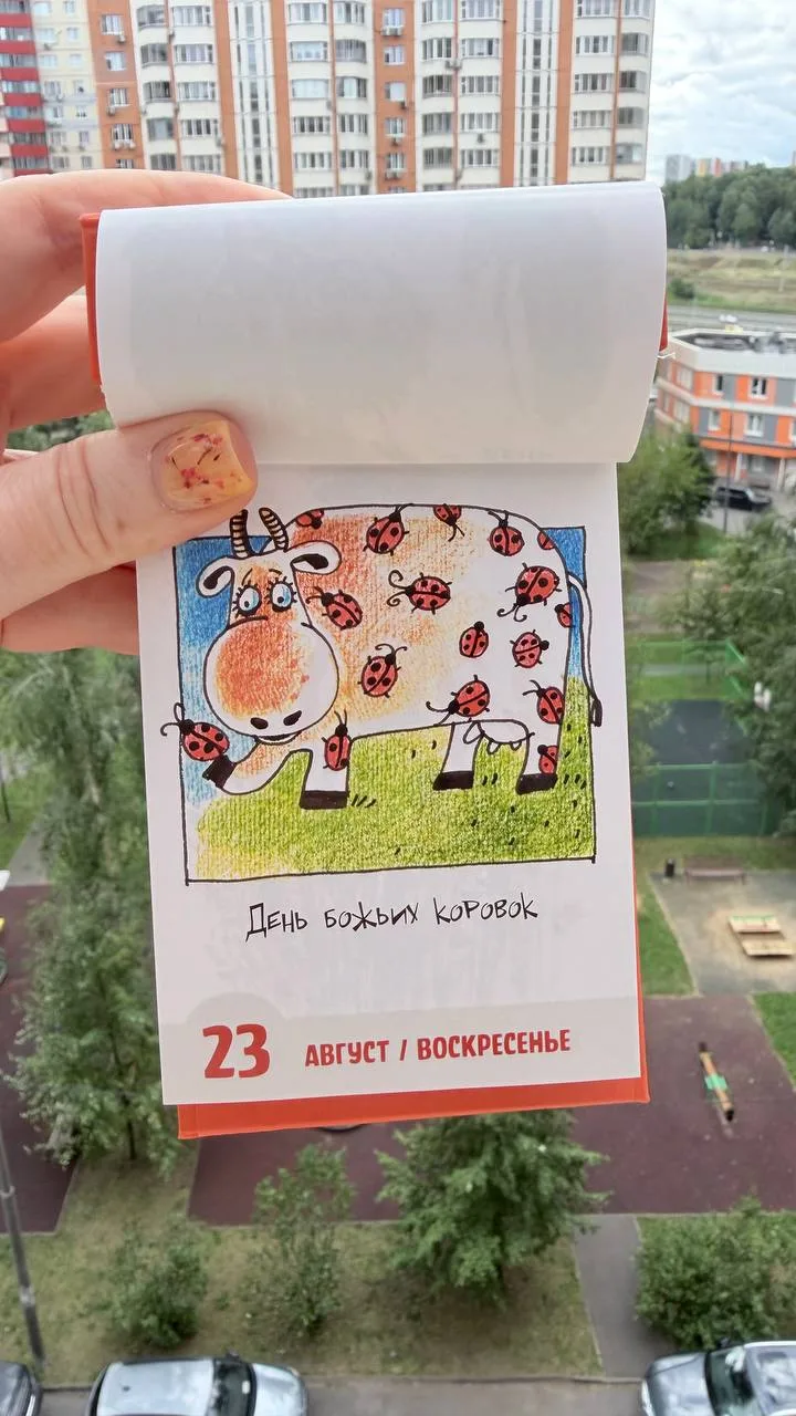 Доброго дня, воскресенье!