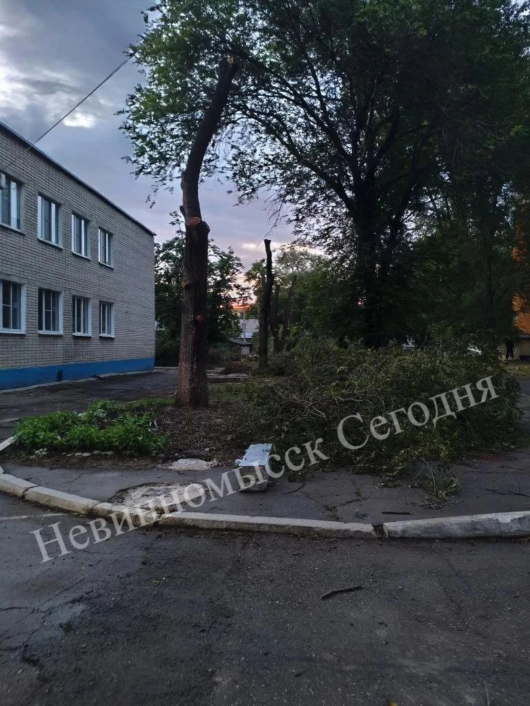 От читателей нашего канала

По ул. Степной между детскими садами была прекрасная тенистая аллея. Сей