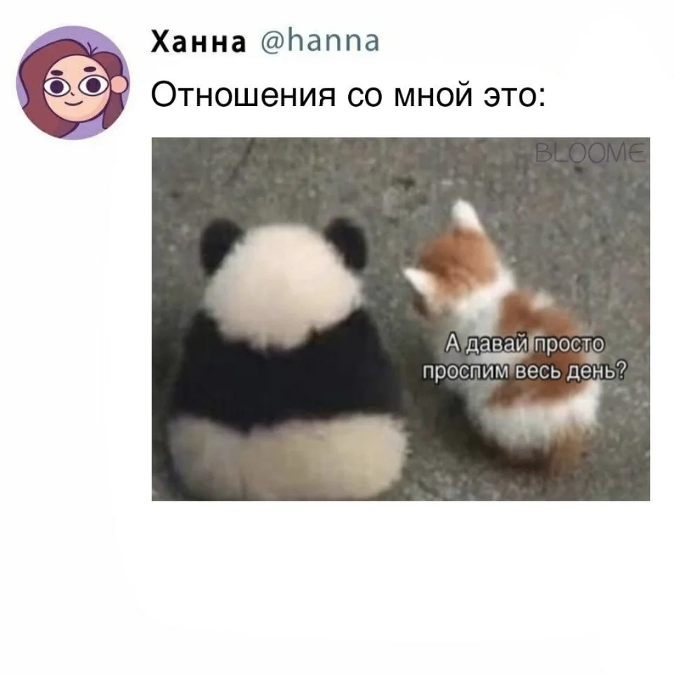Разве это не идеальные отношения? 🥺