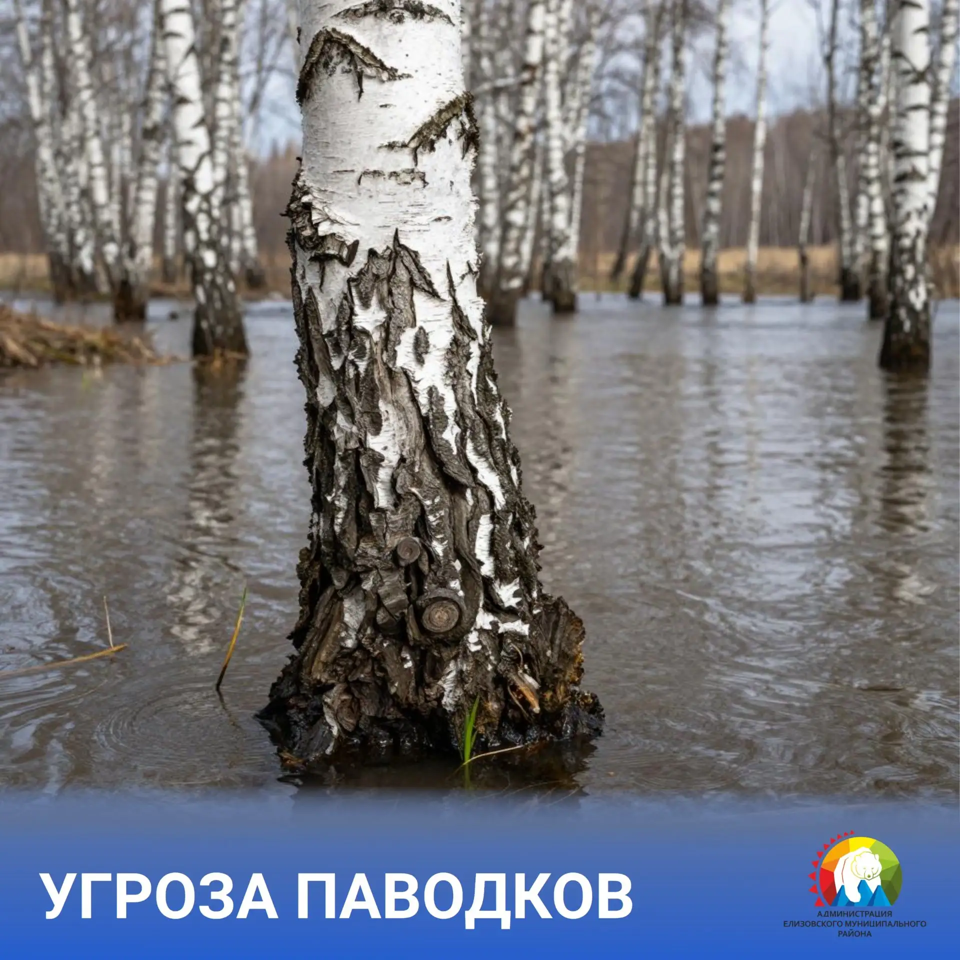 Жителей Елизовского округа предупреждают о возможном подъёме уровня воды в реках.