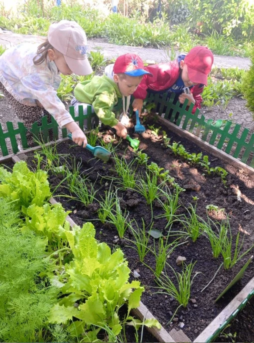 🌱Посадили огород, посмотрите, что растёт.
Будем мы ухаживать, будем поливать,
Будем за растениями д