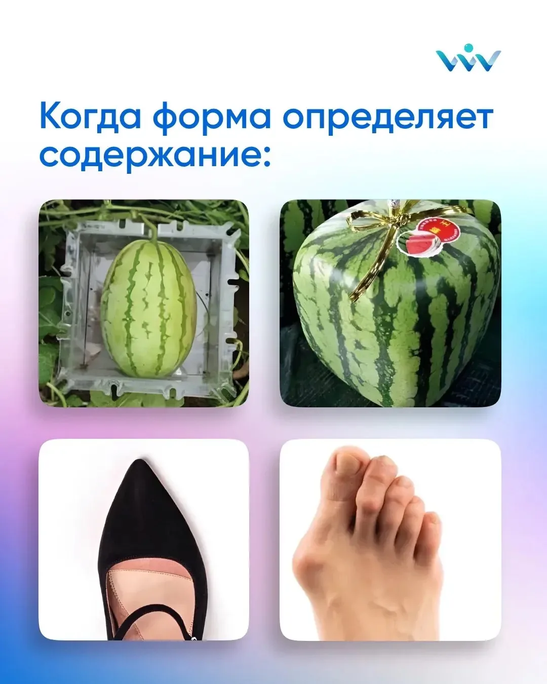 Анатомия под давлением 🍉👠