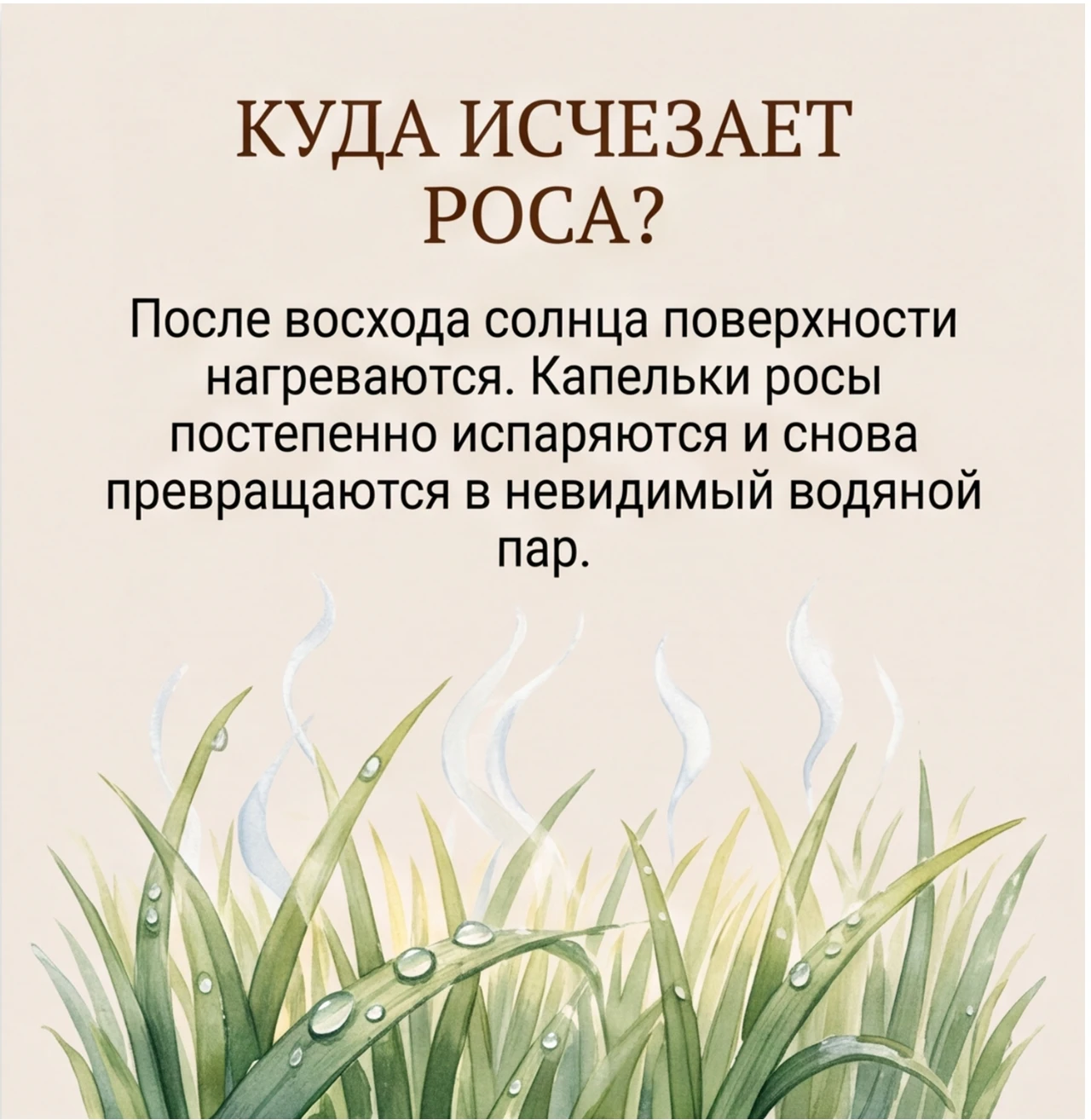 🌿 «Мостики к пониманию мира»: как обычная росинка становится большим открытием