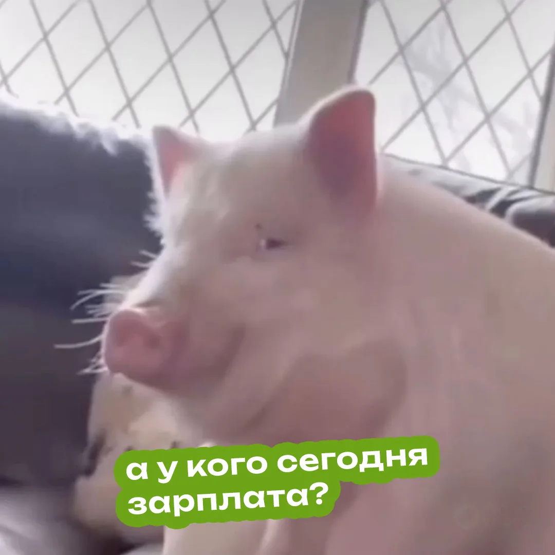 День зарплаты — день финансовой независимости…