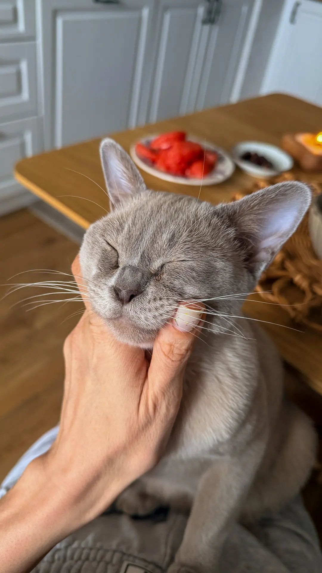 Одним мартовским утром🥰(точнее днём уже😅)  Скоро ребёнок со школы придёт, а я завтракаю ещё😁