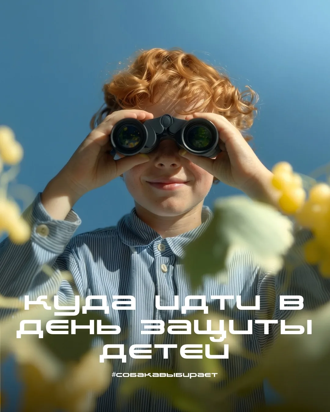 #собакавыбирает ⭕️