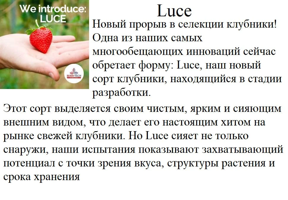❗️Новинка 🍓 НСД  Luci  91,2 ₽  можно брать по 5шт