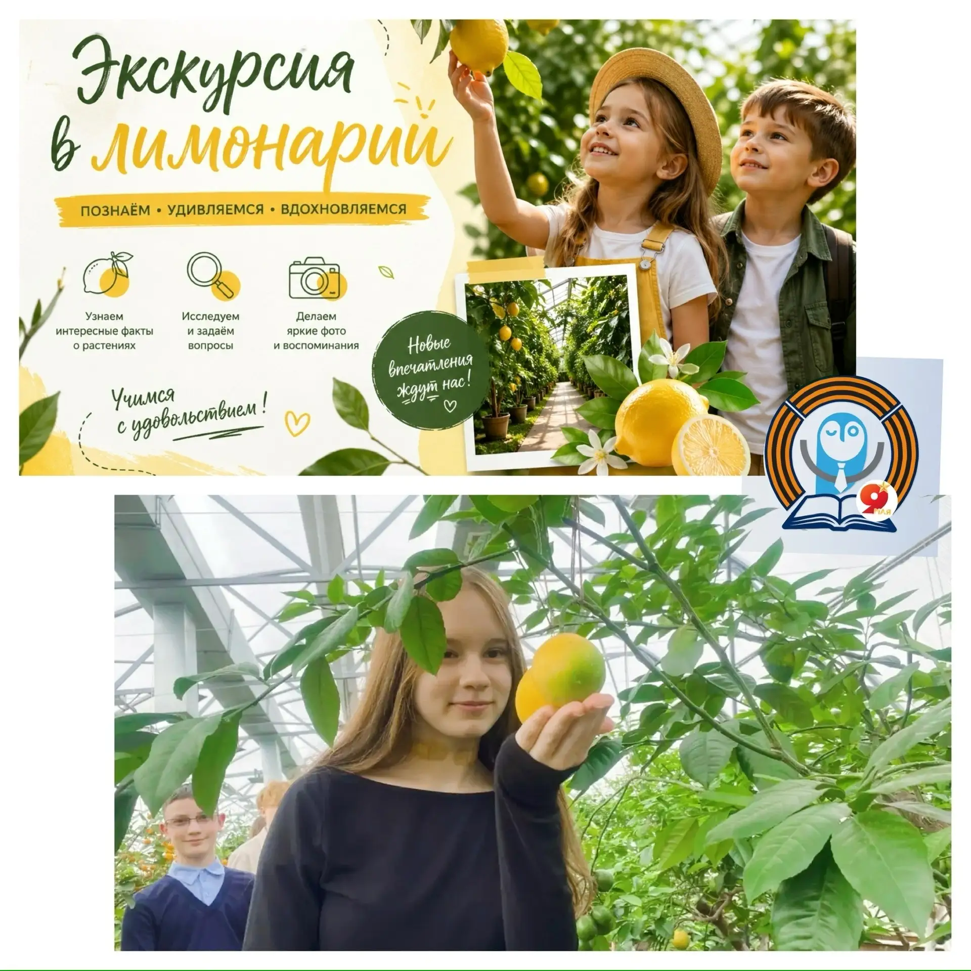 🍋✨ ТРОПИЧЕСКОЕ ПРИКЛЮЧЕНИЕ 8Д: ЭКСКУРСИЯ В ЛИМОНАРИЙ ✨🍋  Иногда, чтобы оказаться в тропиках, не нуже