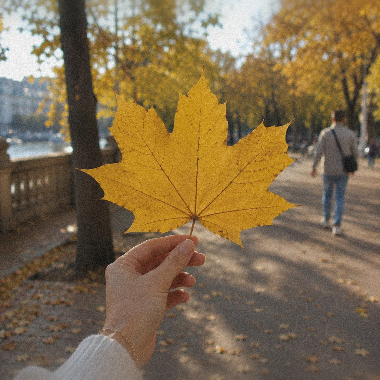 Вот и 1 сентября! 🍂