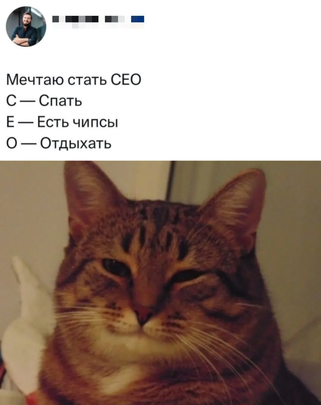 Всем срочно подтвердить или прокачать свой скил!