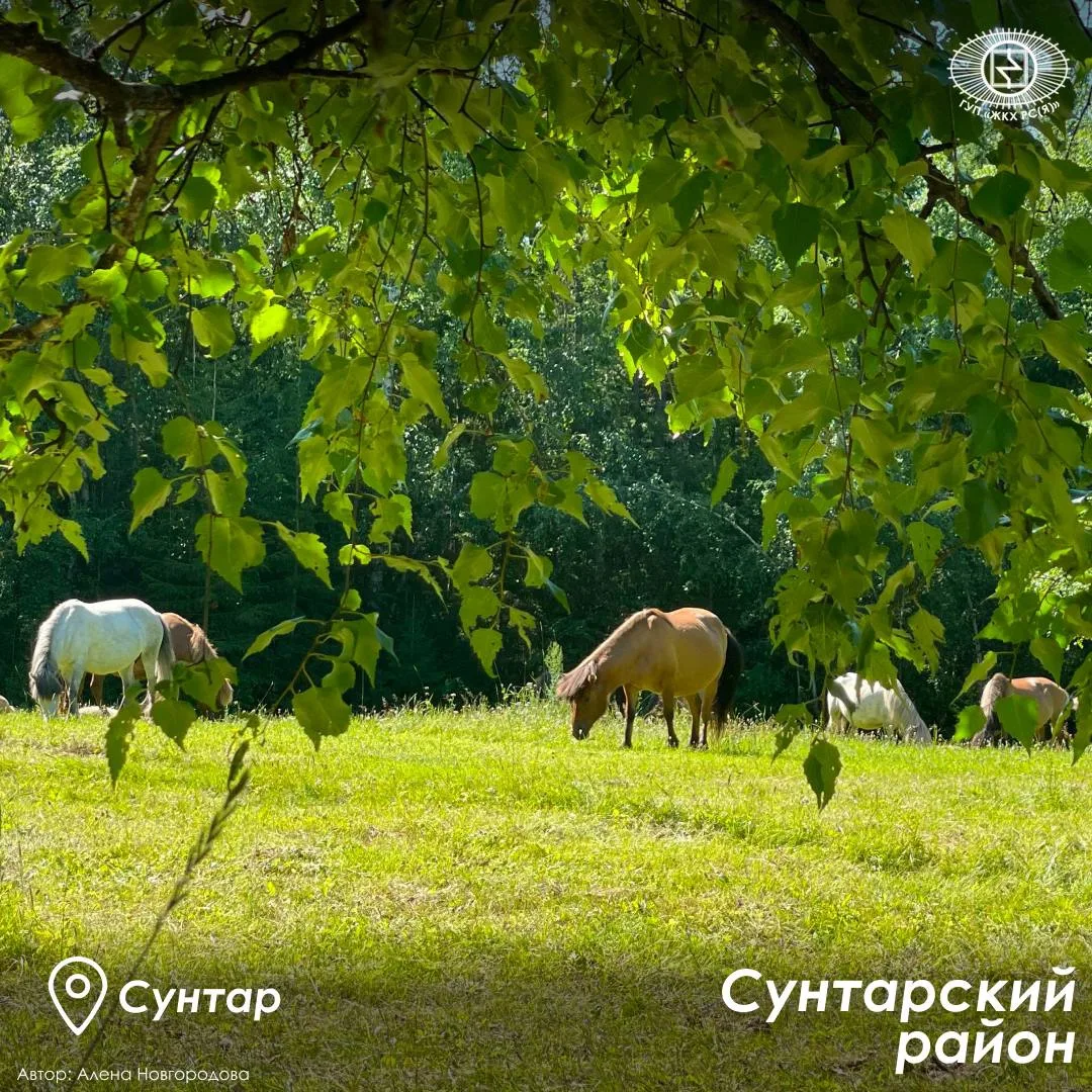 😍✨Очарование Якутии в каждом кадре.