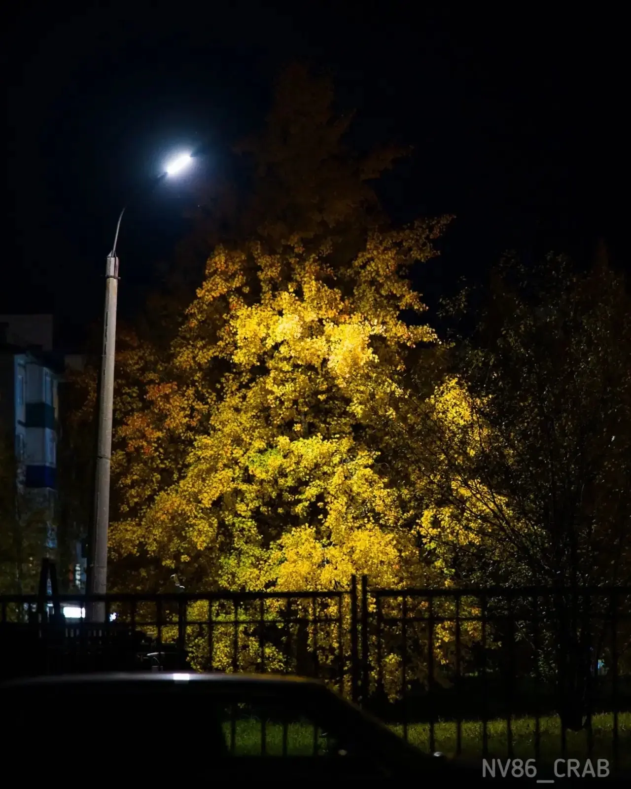 Доброй ночи 💤