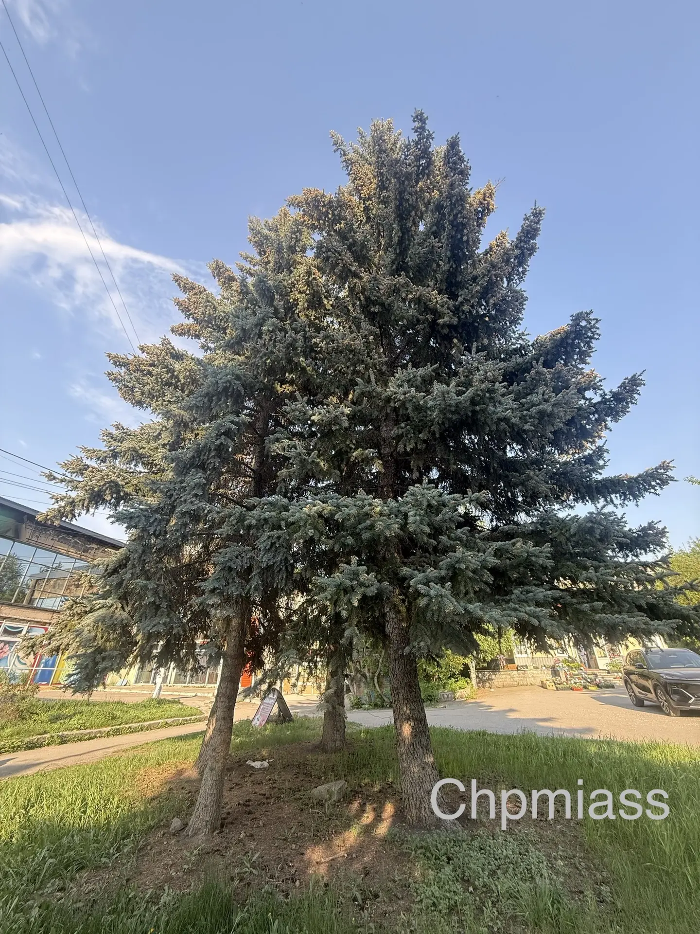 Доброе утречко всем!  С утра бодрит, зато днём обещают идеальные +16 °C.  Пусть у вас сегодня будет 