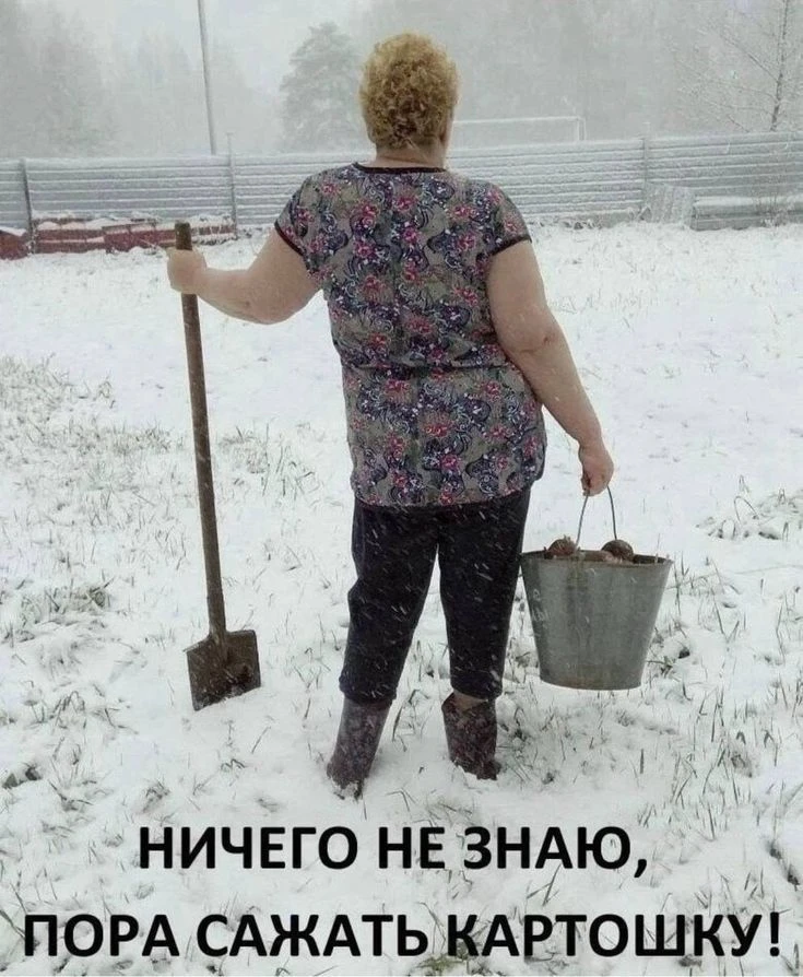 🌟 День Авдотьи Весновки: весна идёт — шутки ведёт! 🐦🌳 🌟