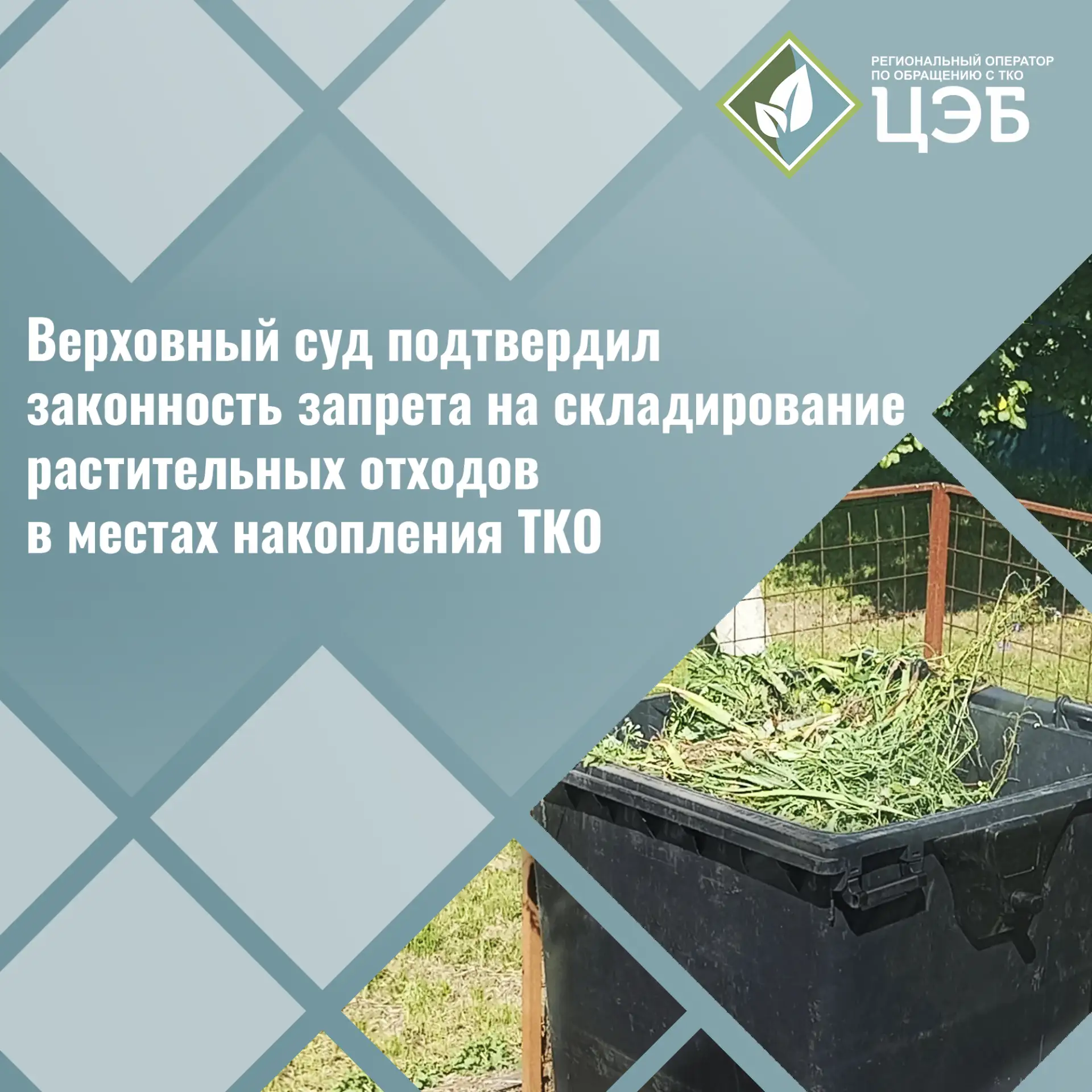 🛑 Верховный суд подтвердил: веткам не место на контейнерных площадках
