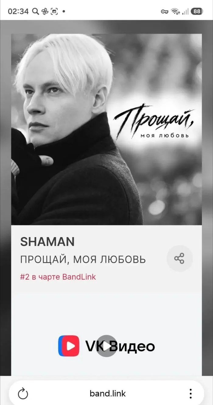 SHAMAN - ПРОЩАЙ,