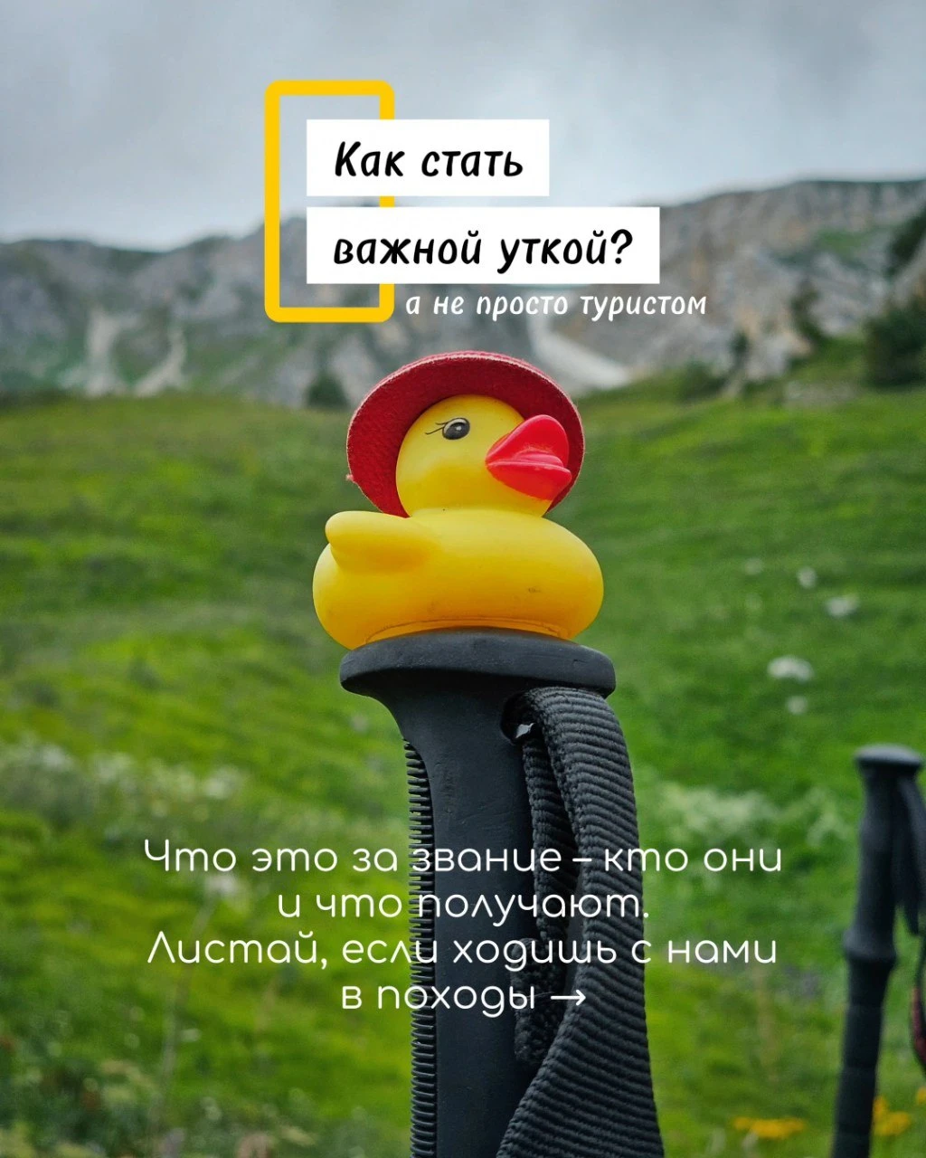 😎 24 октября у нас сабантуй! И причисление к лику новых уток. В честь этого – напомина...