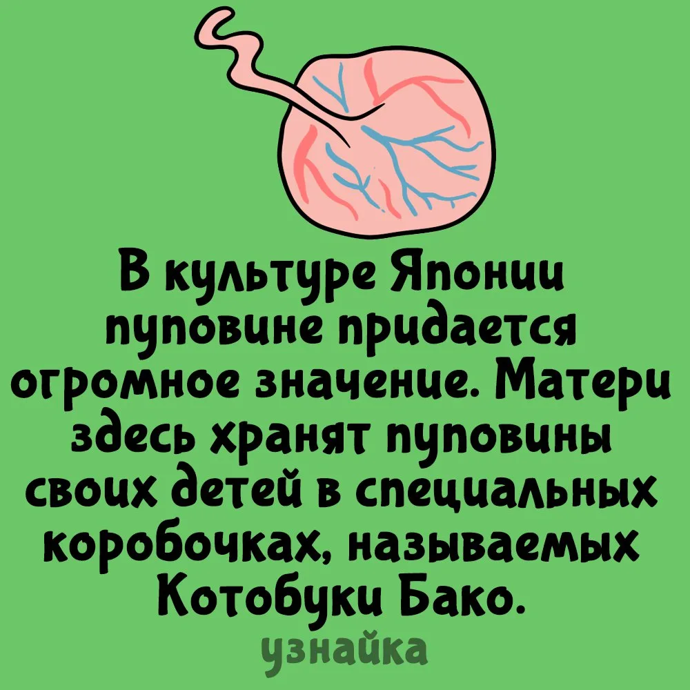 У всех народов свои причуды🤷‍♂️