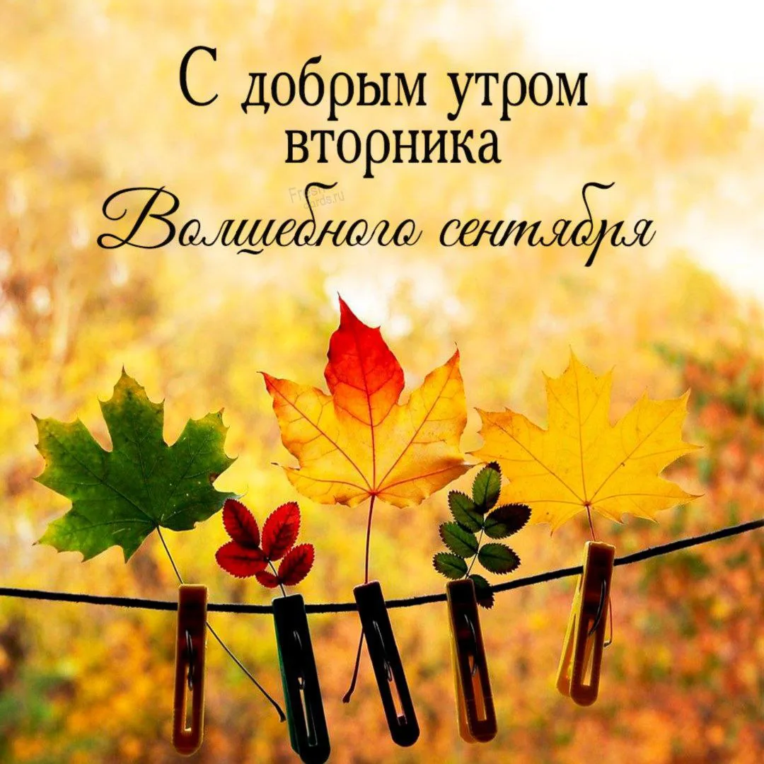 Доброе утро! 🌷
